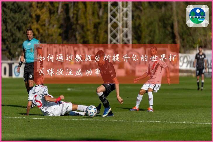 如何通过数据分析提升你的世界杯买球投注成功率