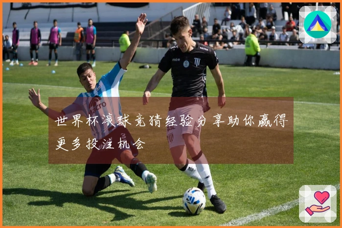 世界杯滚球竞猜经验分享助你赢得更多投注机会